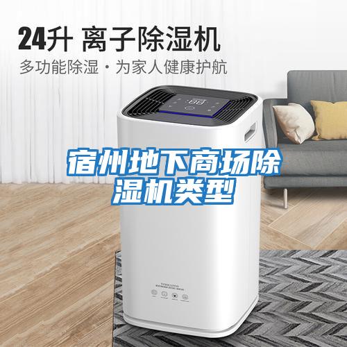 宿州地下商場(chǎng)除濕機類(lèi)型