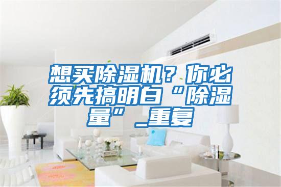 想買(mǎi)除濕機？你必須先搞明白“除濕量”_重復