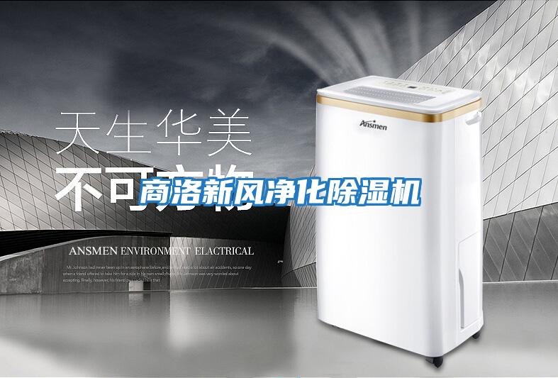商洛新風(fēng)凈化除濕機