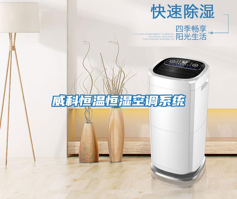 威科恒溫恒濕空調系統