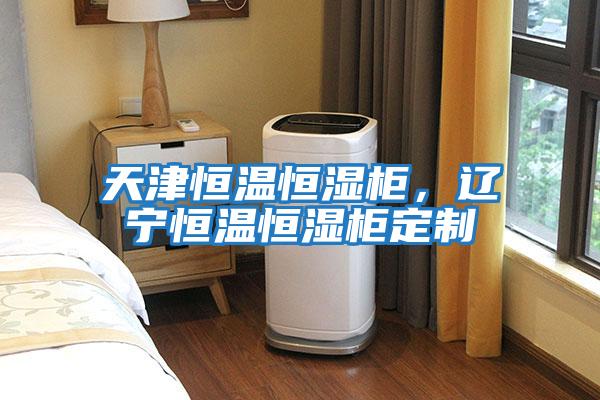 天津恒溫恒濕柜，遼寧恒溫恒濕柜定制