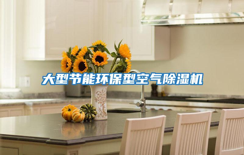 大型節能環(huán)保型空氣除濕機