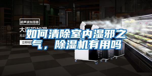 如何清除室內濕邪之氣，除濕機有用嗎