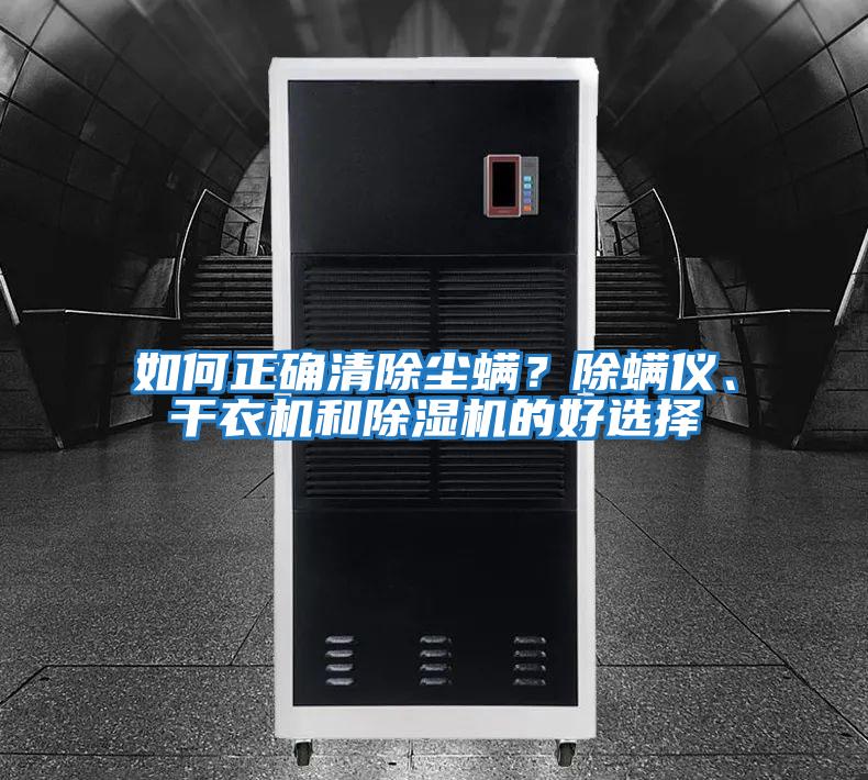 如何正確清除塵螨？除螨儀、干衣機和除濕機的好選擇