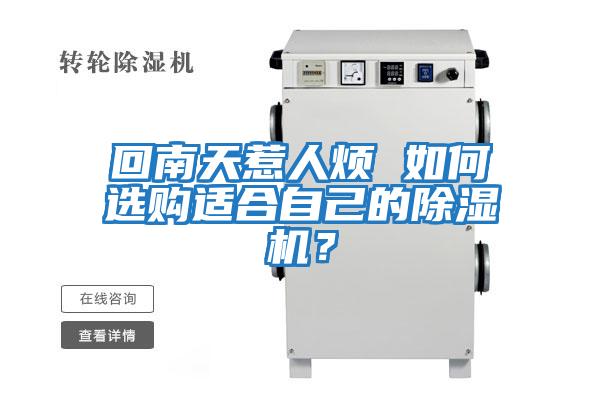 回南天惹人煩 如何選購適合自己的除濕機？