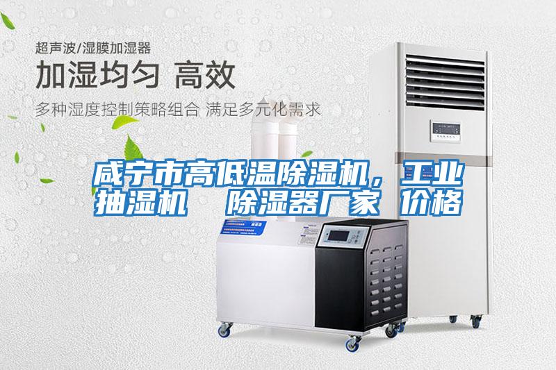 咸寧市高低溫除濕機，工業(yè)抽濕機  除濕器廠(chǎng)家 價(jià)格