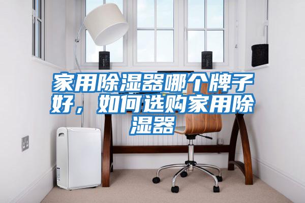 家用除濕器哪個(gè)牌子好，如何選購家用除濕器