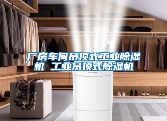 廠(chǎng)房車(chē)間吊頂式工業(yè)除濕機 工業(yè)吊頂式除濕機