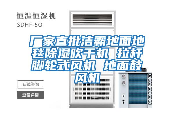 廠(chǎng)家直批潔霸地面地毯除濕吹干機 拉桿腳輪式風(fēng)機 地面鼓風(fēng)機