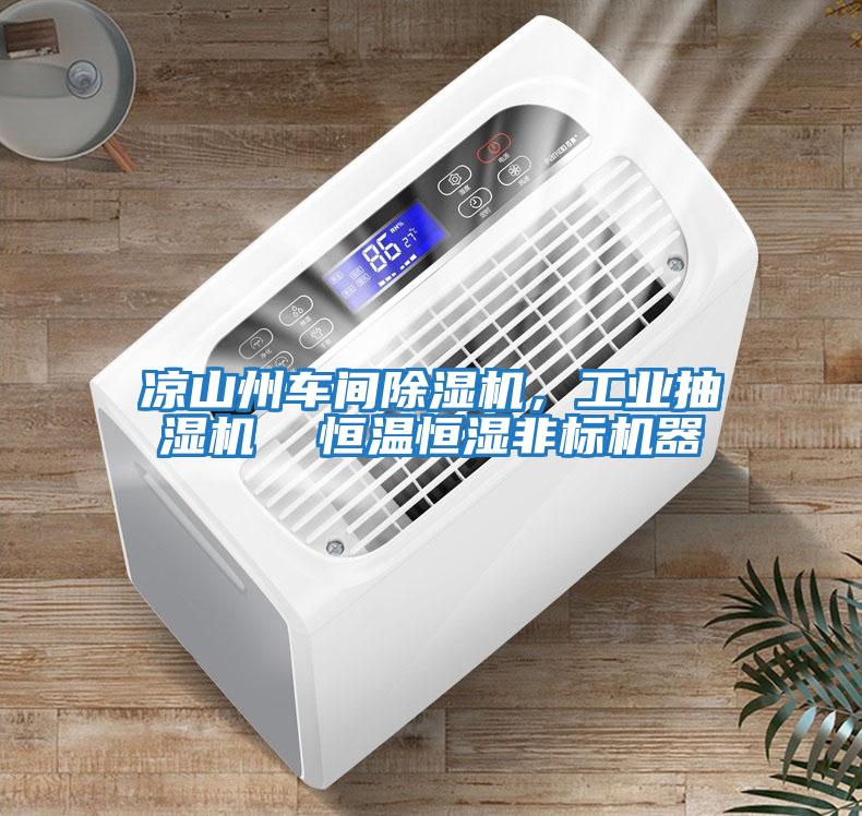 涼山州車(chē)間除濕機，工業(yè)抽濕機  恒溫恒濕非標機器