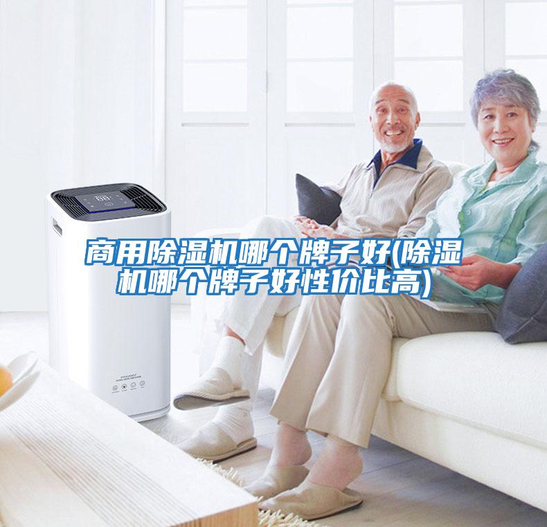 商用除濕機哪個(gè)牌子好(除濕機哪個(gè)牌子好性?xún)r(jià)比高)