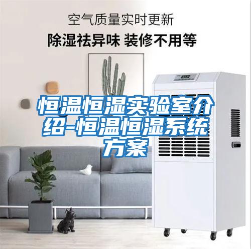恒溫恒濕實(shí)驗室介紹-恒溫恒濕系統方案