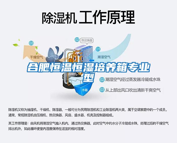 合肥恒溫恒濕培養箱專(zhuān)業(yè)型
