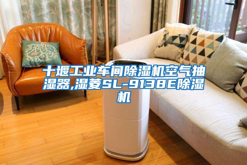 十堰工業(yè)車(chē)間除濕機空氣抽濕器,濕菱SL-9138E除濕機