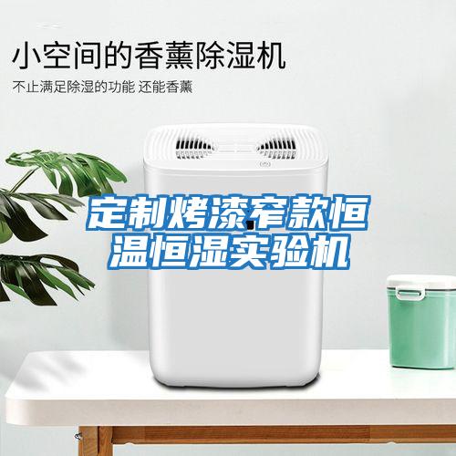 定制烤漆窄款恒溫恒濕實(shí)驗機
