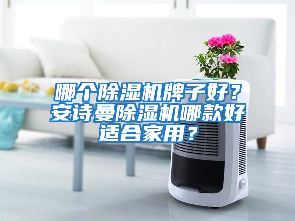 哪個(gè)除濕機牌子好？安詩(shī)曼除濕機哪款好適合家用？
