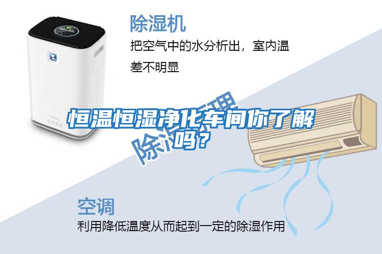 恒溫恒濕凈化車(chē)間你了解嗎？