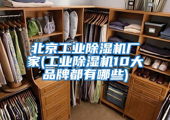 北京工業(yè)除濕機廠(chǎng)家(工業(yè)除濕機10大品牌都有哪些)
