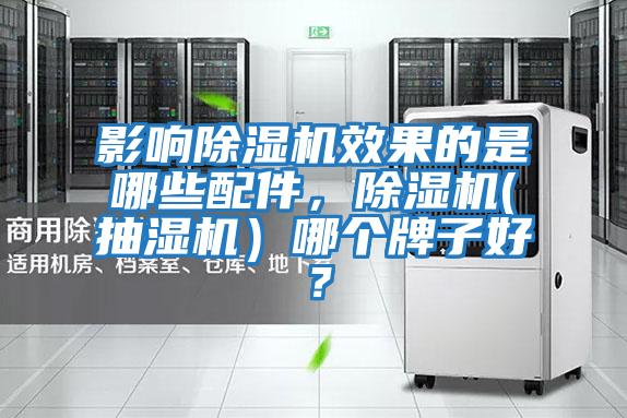 影響除濕機效果的是哪些配件，除濕機(抽濕機）哪個(gè)牌子好？