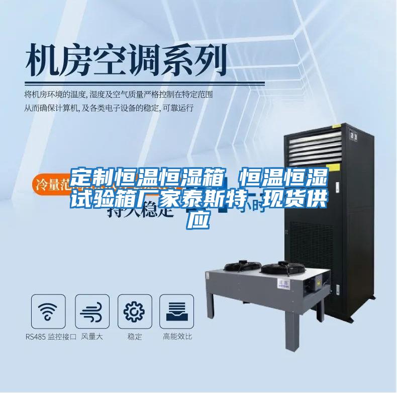 定制恒溫恒濕箱 恒溫恒濕試驗箱廠(chǎng)家泰斯特 現貨供應