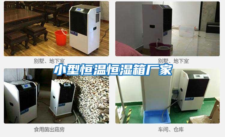 小型恒溫恒濕箱廠(chǎng)家