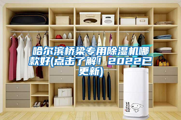 哈爾濱橋梁專(zhuān)用除濕機哪款好(點(diǎn)擊了解！2022已更新)