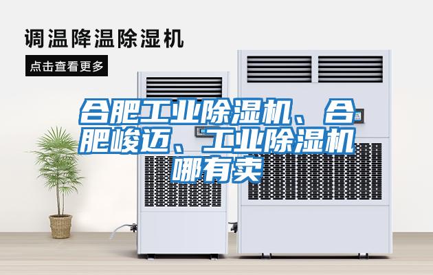 合肥工業(yè)除濕機、合肥峻邁、工業(yè)除濕機哪有賣(mài)