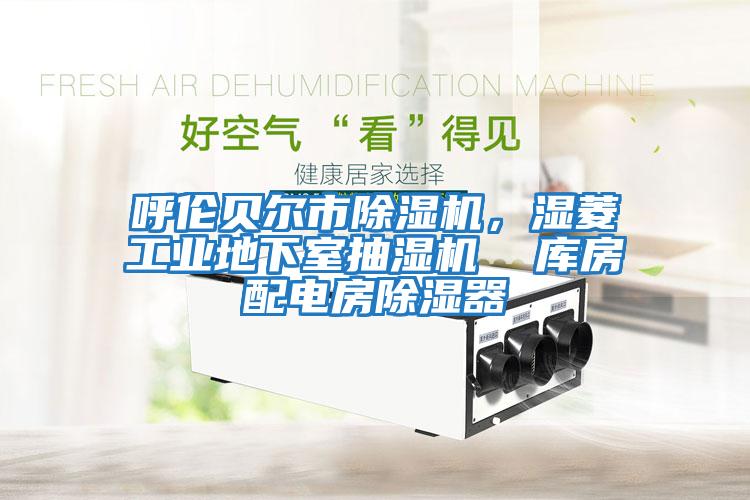 呼倫貝爾市除濕機，濕菱工業(yè)地下室抽濕機  庫房配電房除濕器