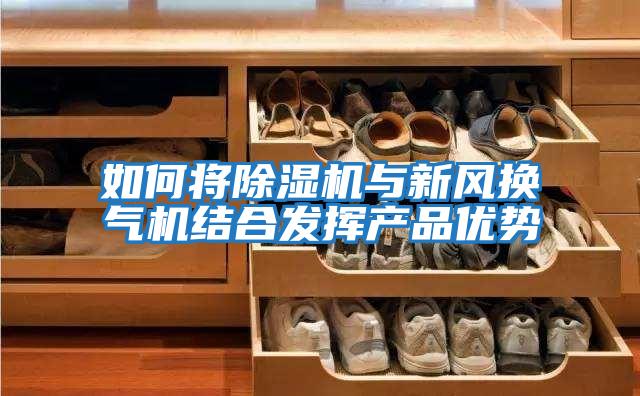 如何將除濕機與新風(fēng)換氣機結合發(fā)揮產(chǎn)品優(yōu)勢