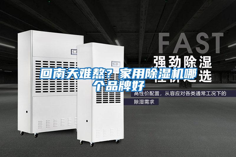 回南天難熬？家用除濕機哪個(gè)品牌好