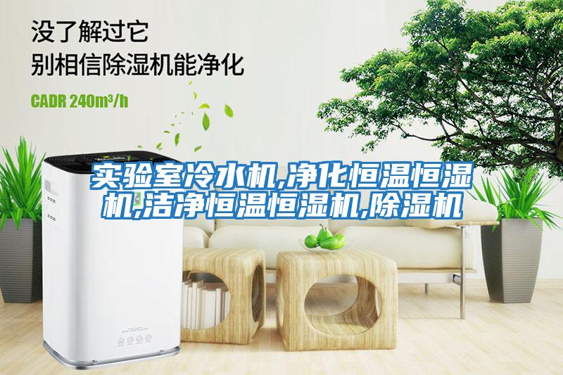 實(shí)驗室冷水機,凈化恒溫恒濕機,潔凈恒溫恒濕機,除濕機