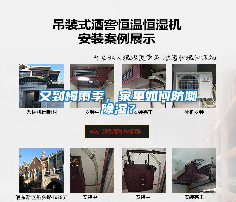 又到梅雨季，家里如何防潮除濕？
