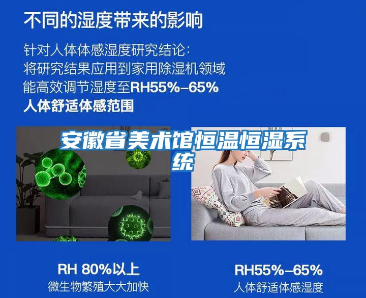安徽省美術(shù)館恒溫恒濕系統