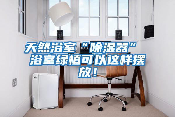 天然浴室“除濕器” 浴室綠植可以這樣擺放！