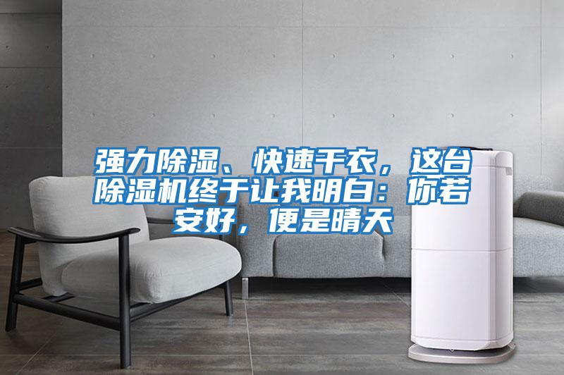 強力除濕、快速干衣，這臺除濕機終于讓我明白：你若安好，便是晴天
