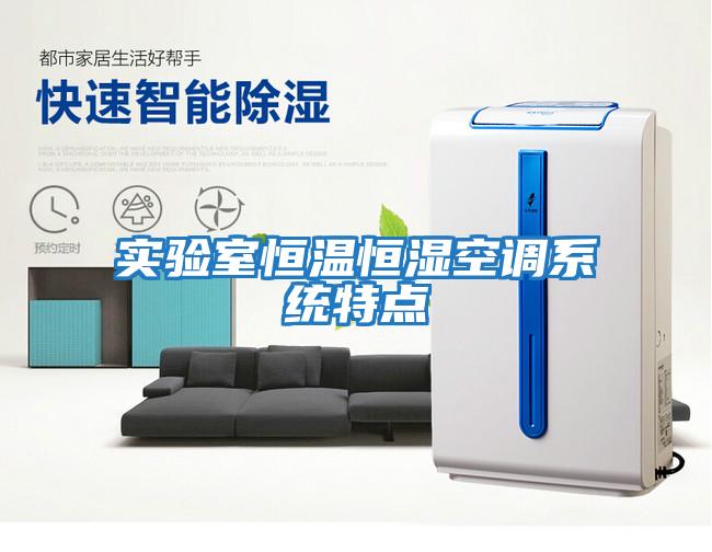 實(shí)驗室恒溫恒濕空調系統特點(diǎn)