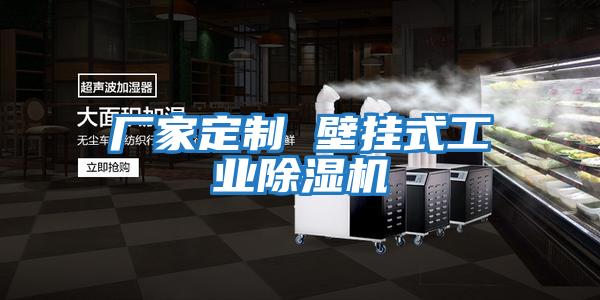廠(chǎng)家定制 壁掛式工業(yè)除濕機