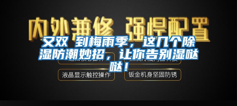 又雙叒到梅雨季，這幾個(gè)除濕防潮妙招，讓你告別濕噠噠！
