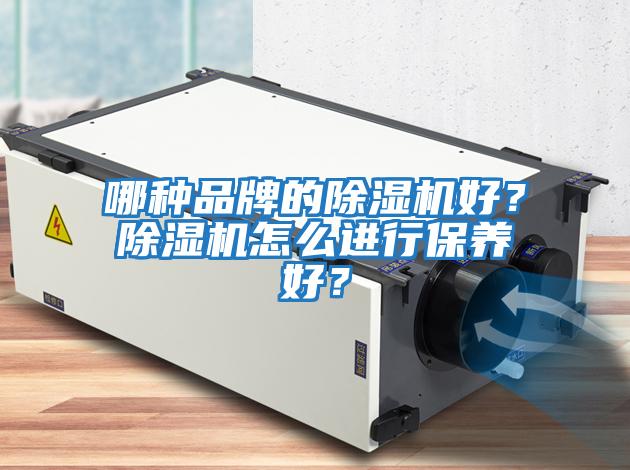 哪種品牌的除濕機好？除濕機怎么進(jìn)行保養好？