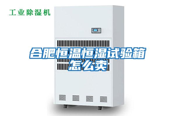 合肥恒溫恒濕試驗箱怎么賣(mài)