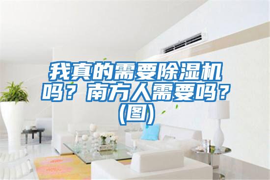 我真的需要除濕機嗎？南方人需要嗎？(圖)