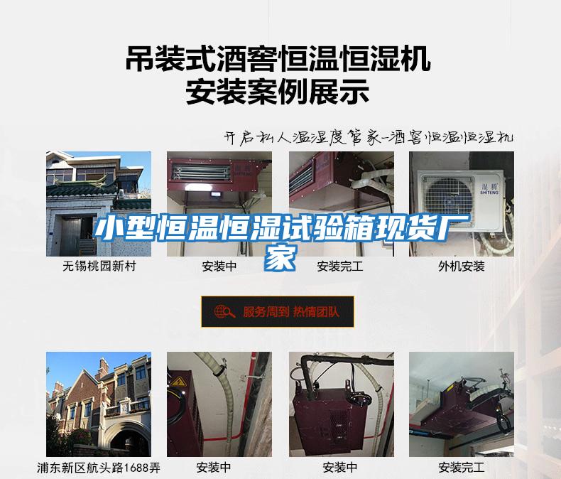 小型恒溫恒濕試驗箱現貨廠(chǎng)家