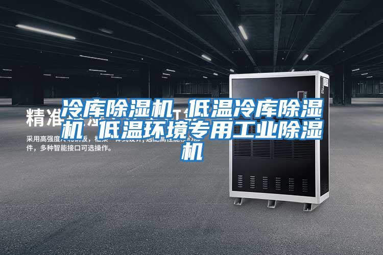 冷庫除濕機 低溫冷庫除濕機 低溫環(huán)境專(zhuān)用工業(yè)除濕機