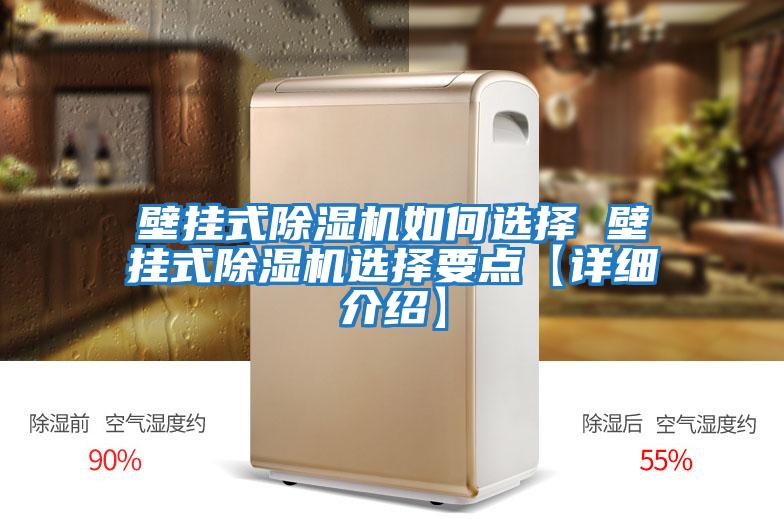 壁掛式除濕機如何選擇 壁掛式除濕機選擇要點(diǎn)【詳細介紹】