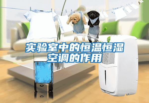 實(shí)驗室中的恒溫恒濕空調的作用
