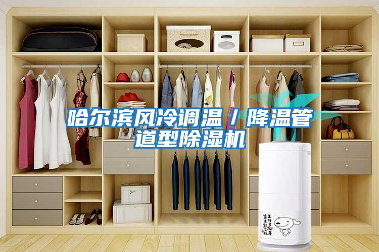 哈爾濱風(fēng)冷調溫／降溫管道型除濕機