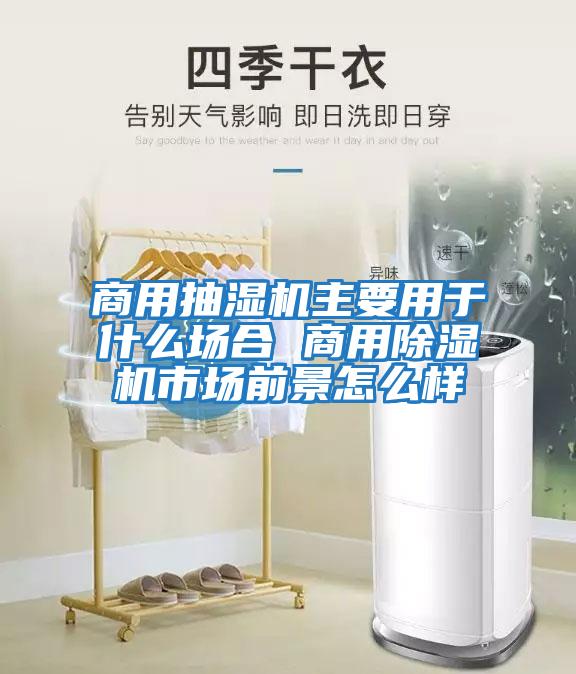 商用抽濕機主要用于什么場(chǎng)合 商用除濕機市場(chǎng)前景怎么樣