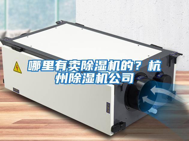 哪里有賣(mài)除濕機的？杭州除濕機公司