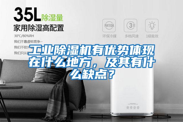 工業(yè)除濕機有優(yōu)勢體現在什么地方，及其有什么缺點(diǎn)？