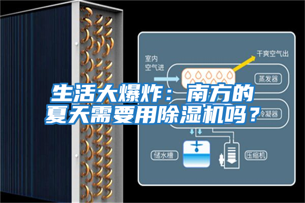 生活大爆炸：南方的夏天需要用除濕機嗎？